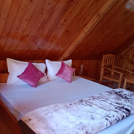Forest View Cottage Jibhi Exterior photo