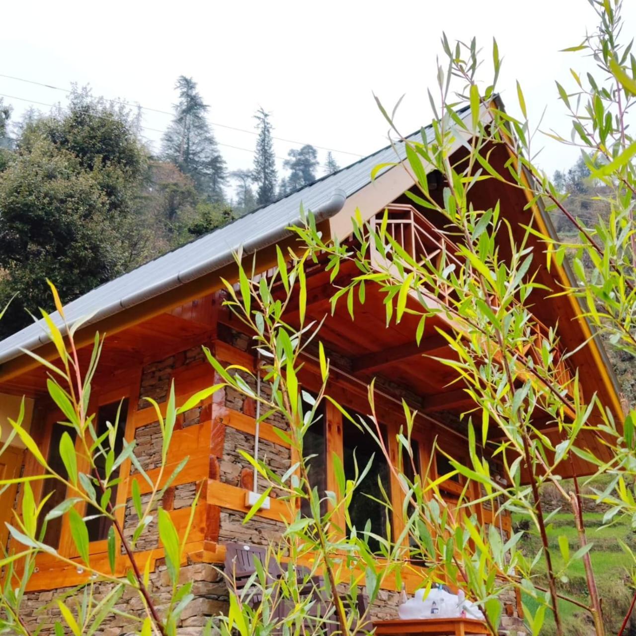 Forest View Cottage Jibhi Exterior photo
