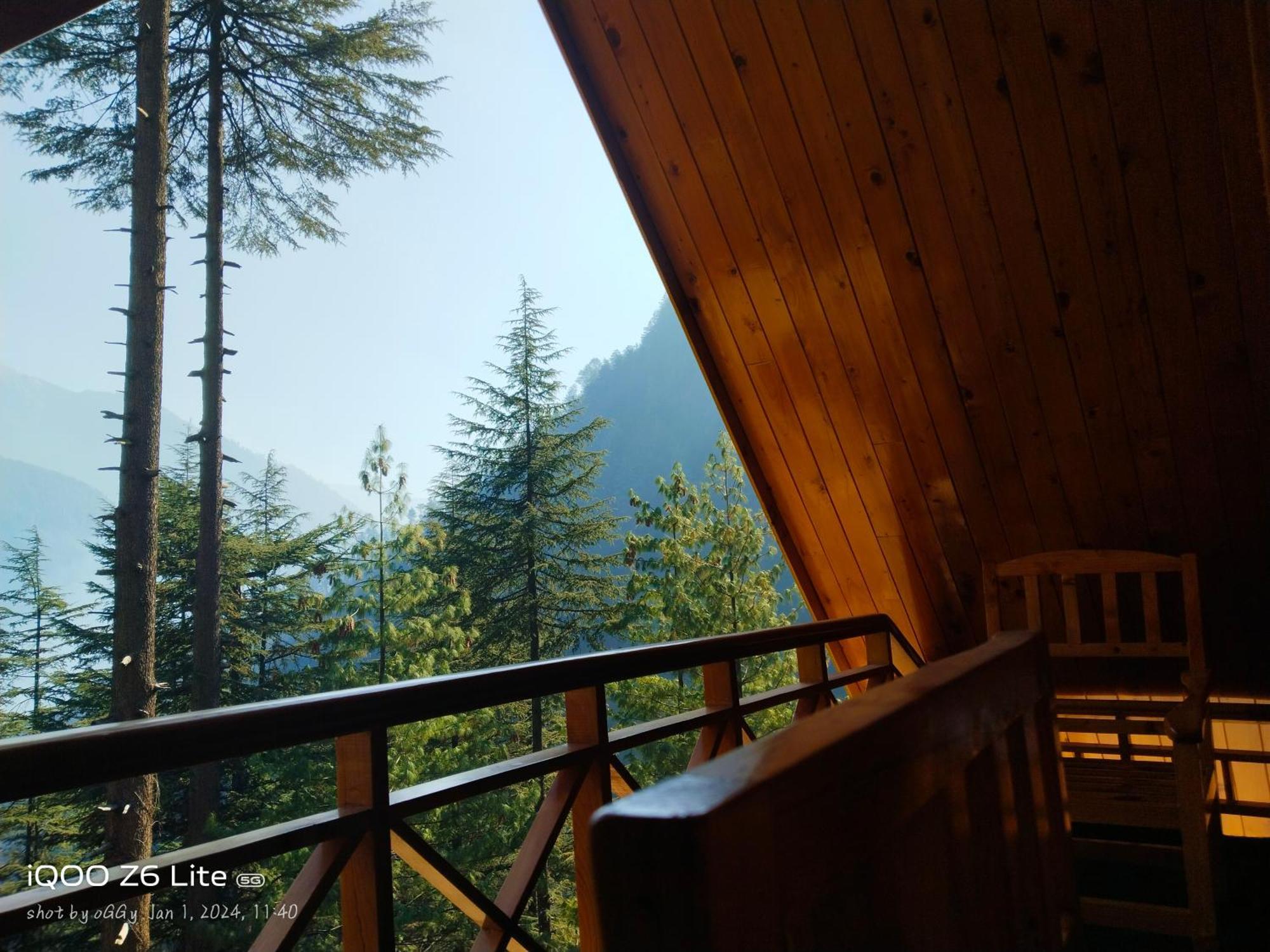 Forest View Cottage Jibhi Exterior photo